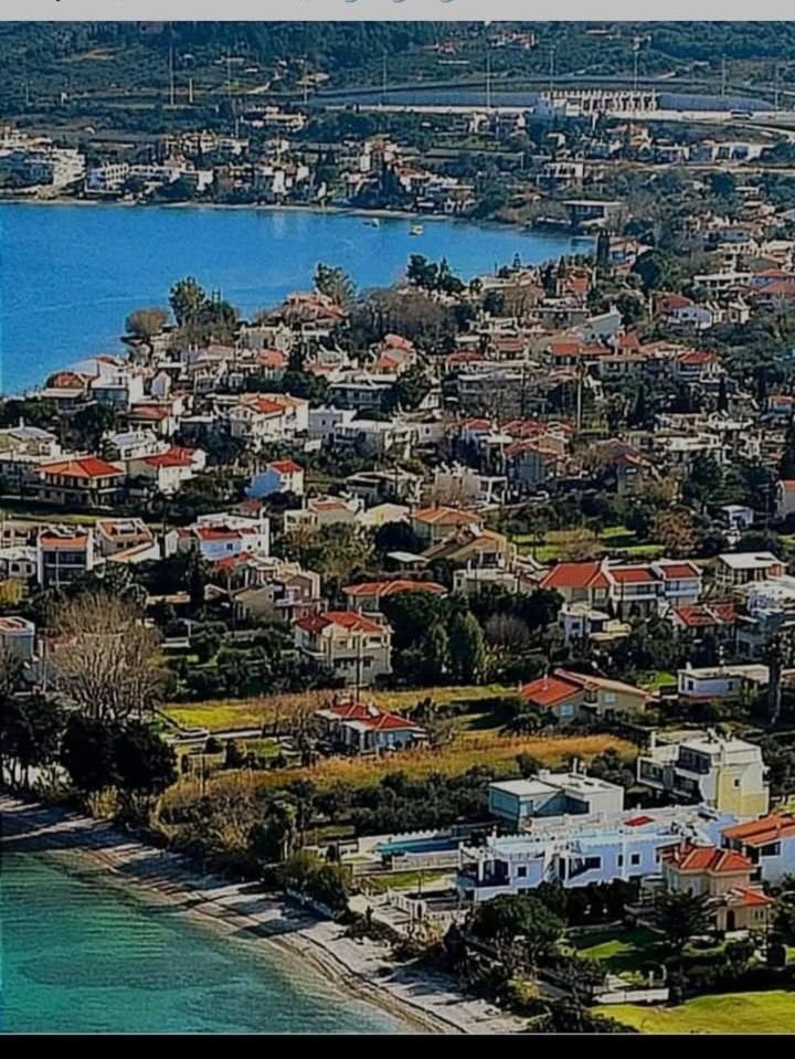 Holiday And Business Home Agios Vasilios (Peloponnese) Exterior foto